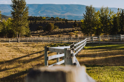 Ranch property for sale in Alberta Foothills with mountain views